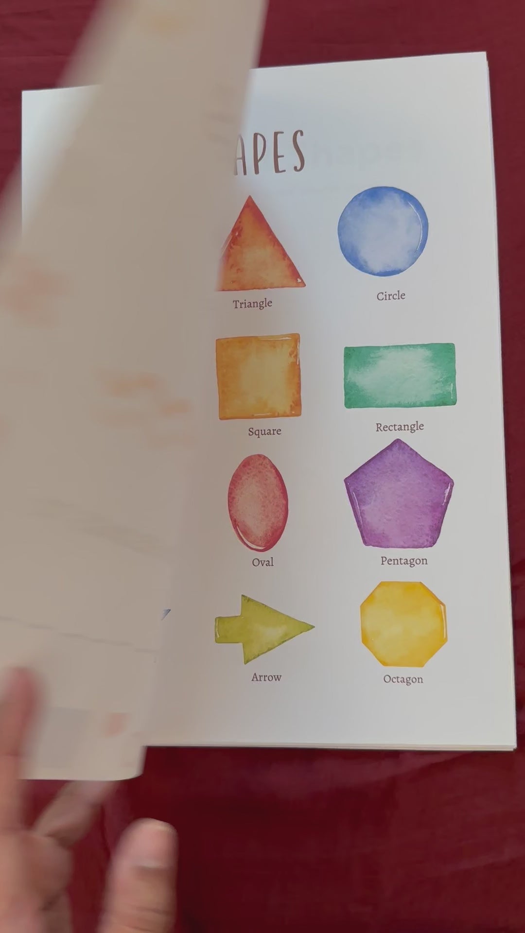 Printed Activity Worksheets - Shapes